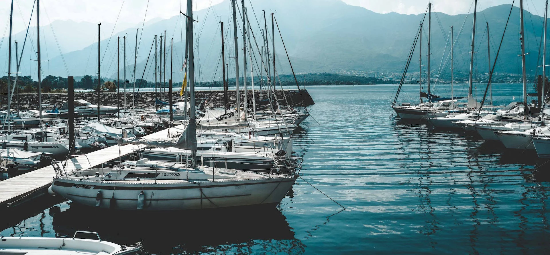 pexels-jules-t-1306851-head-v2-optimized